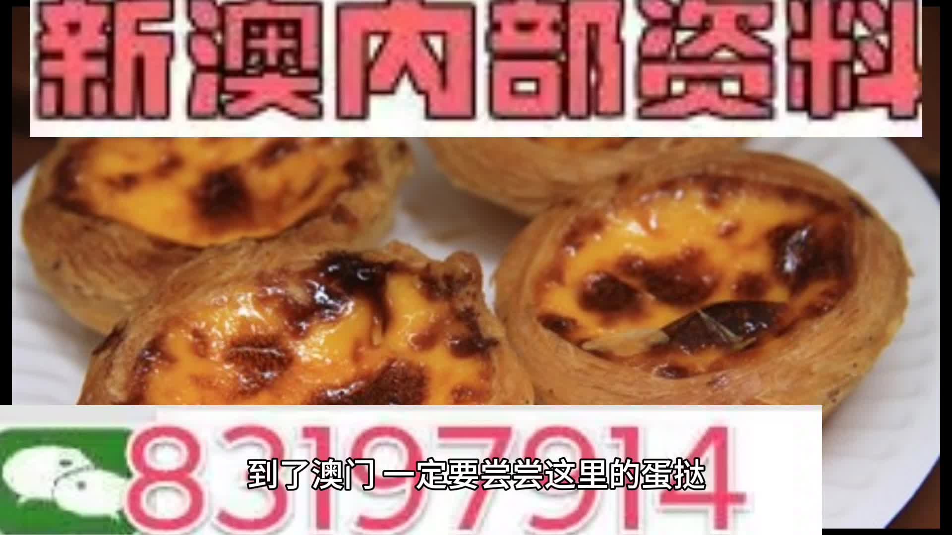新澳門資料大全正版資料與奧利奧，探索與體驗(yàn)的獨(dú)特結(jié)合，奧利奧與新澳門資料大全正版資料的獨(dú)特探索與體驗(yàn)之旅