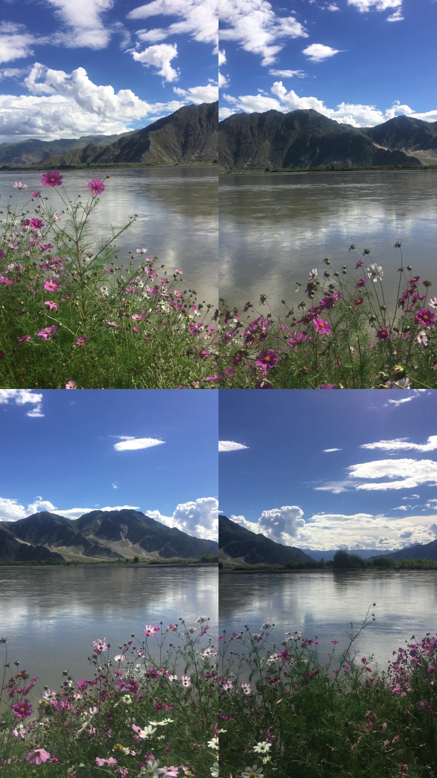 探索風(fēng)景視頻的奧秘，自然美景的視覺盛宴，自然美景的視覺盛宴，風(fēng)景視頻的奧秘探索