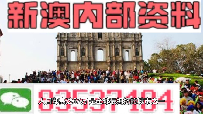 新澳門正版免費(fèi)資料查詢方法詳解，澳門正版免費(fèi)資料查詢方法全解析