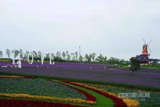 哈爾濱普羅旺斯薰衣草莊園門票攻略，哈爾濱普羅旺斯薰衣草莊園門票攻略詳解