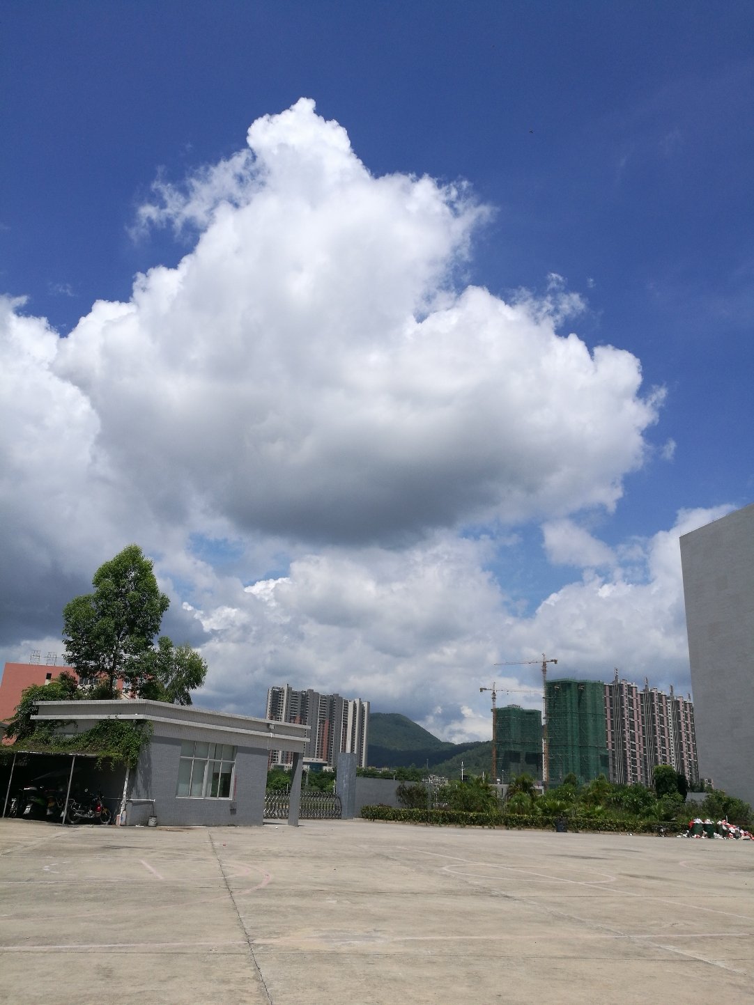惠陽天氣預(yù)報——掌握天氣動態(tài)，生活更從容，惠陽天氣預(yù)報，掌握天氣動態(tài)，享受從容生活