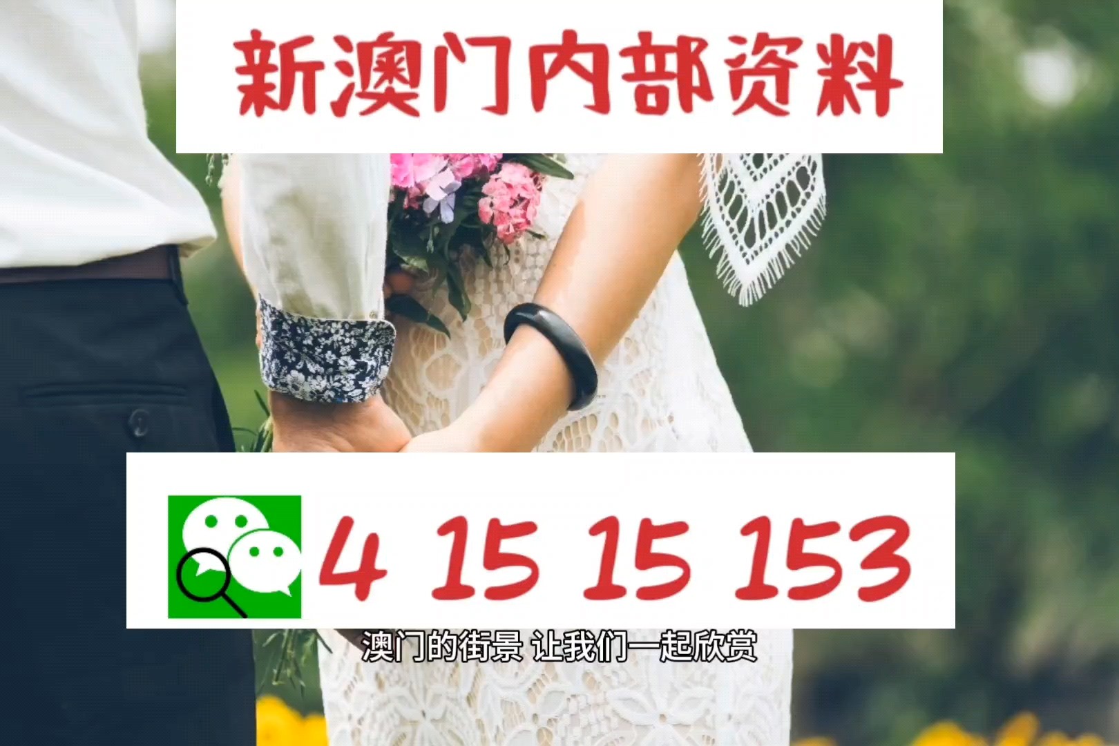 新澳門彩出號(hào)綜合走勢(shì)分析，澳門彩票出號(hào)走勢(shì)綜合解析