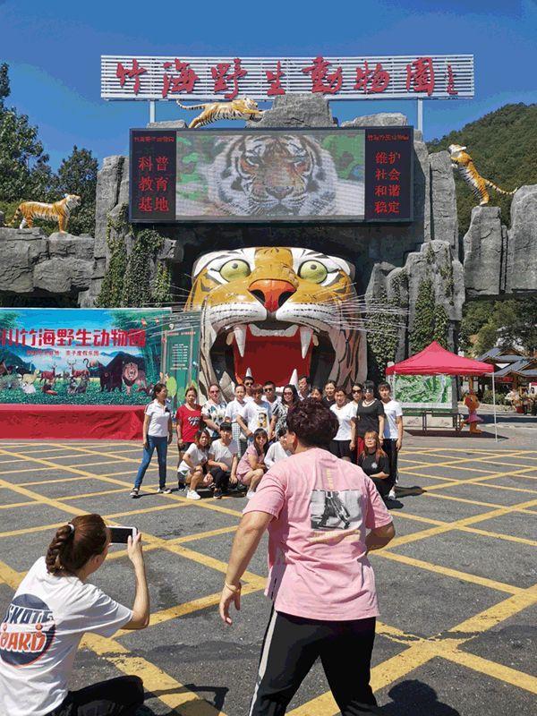 長春東北虎園門票價格詳解，長春東北虎園門票價格全解析