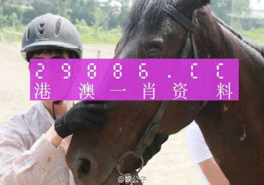澳門一肖一碼一必中一肖，同舟前進(jìn)的奧秘與策略，澳門一肖一碼必中策略與前進(jìn)奧秘，同舟共濟(jì)的揭秘與策略