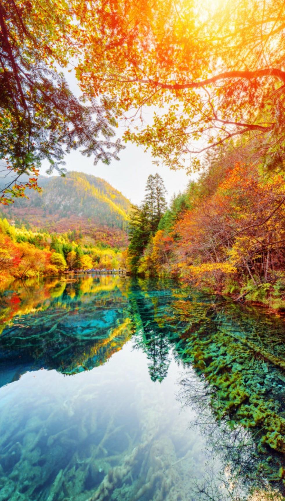 九寨溝在四川的哪個(gè)市，深度解析與旅游攻略，深度解析九寨溝位置與旅游攻略，四川市的九寨溝探秘