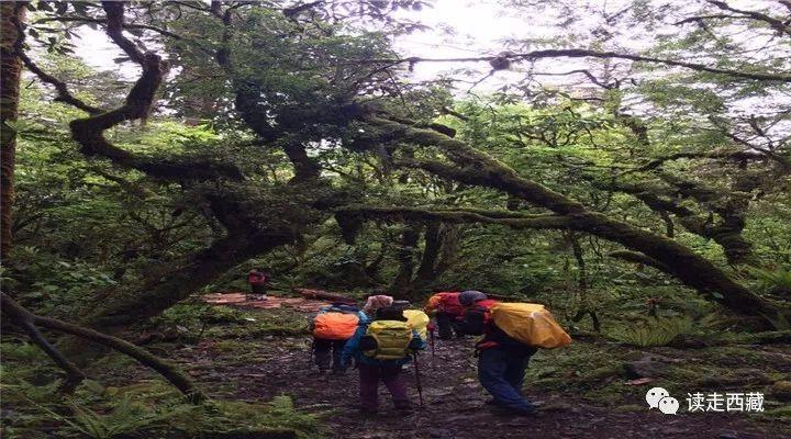 西雙版納旅游路線規(guī)劃攻略，西雙版納旅游路線規(guī)劃攻略大全