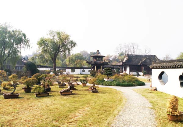 瘦西湖門票優(yōu)惠政策詳解，瘦西湖門票優(yōu)惠政策全面解析