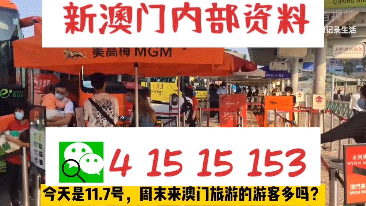 新澳門精準三肖三碼中特——探索澳門博彩文化的獨特魅力，澳門博彩文化獨特魅力探索，精準三肖三碼中特揭秘