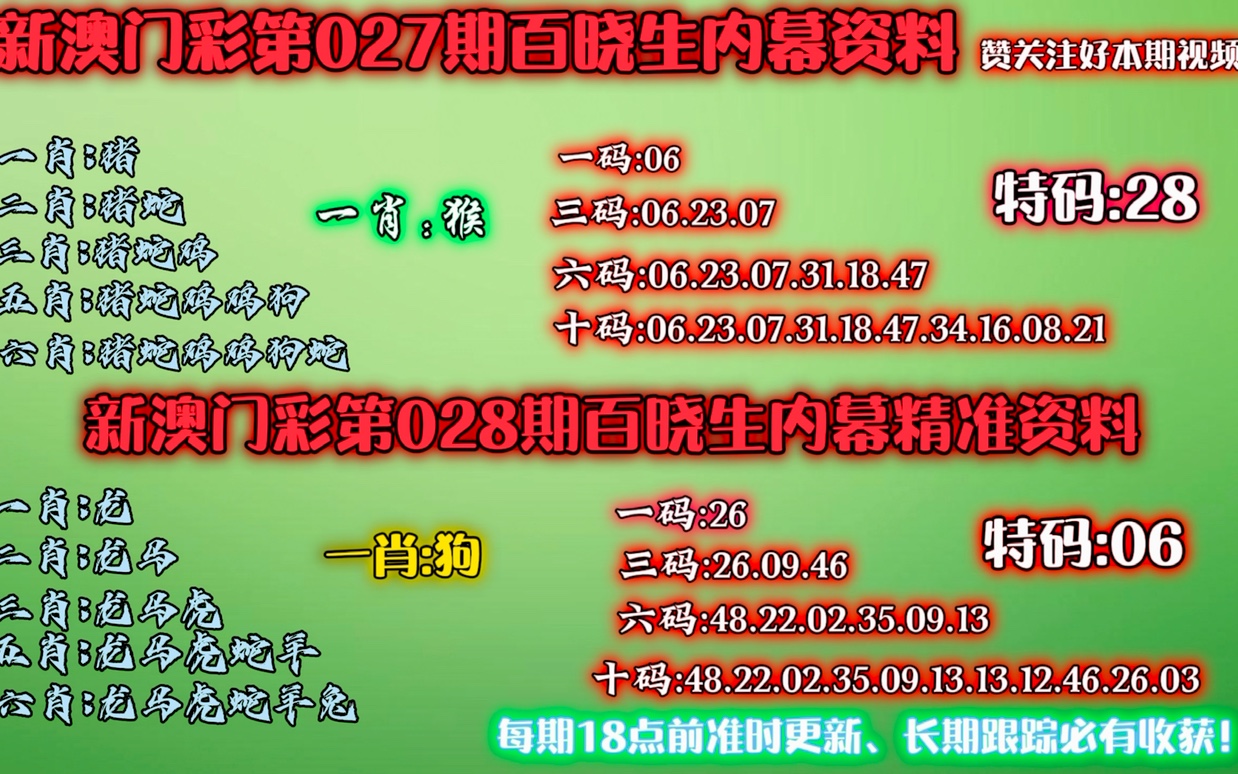 澳門一肖一碼中的奧秘與探索，澳門一肖一碼中的奧秘揭秘與探索之旅
