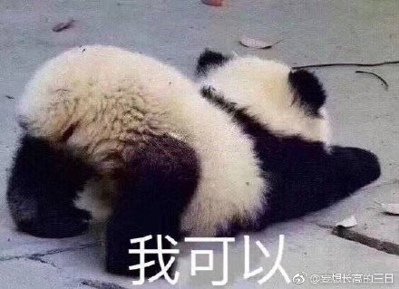 澳門(mén)四不像與生肖預(yù)測(cè)，探索未來(lái)的神秘面紗（關(guān)鍵詞，澳門(mén)四不像、生肖預(yù)測(cè)、今晚必開(kāi)一肖），澳門(mén)四不像與生肖預(yù)測(cè)揭秘，今晚必開(kāi)一肖的神秘面紗