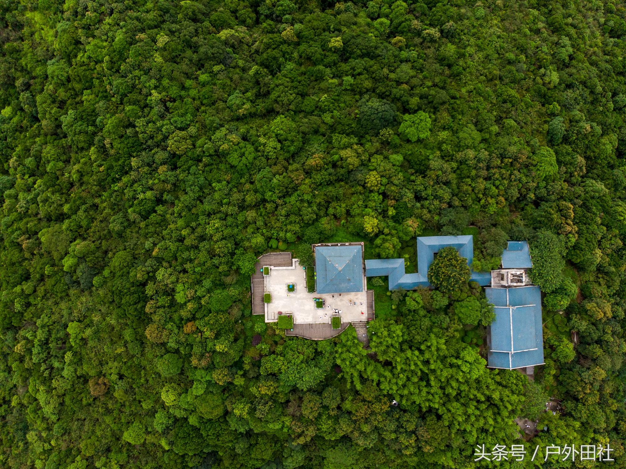東莞大嶺山森林公園，自然美景的圖片展示，東莞大嶺山森林公園自然美景圖片展示日冕風(fēng)采
