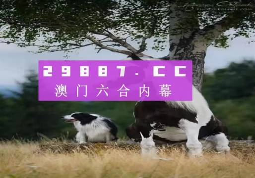 澳門正版資料大全，探索澳門，預(yù)見未來的精彩瞬間（2025版），澳門正版資料大全，探索澳門，預(yù)見未來精彩瞬間（2025展望）