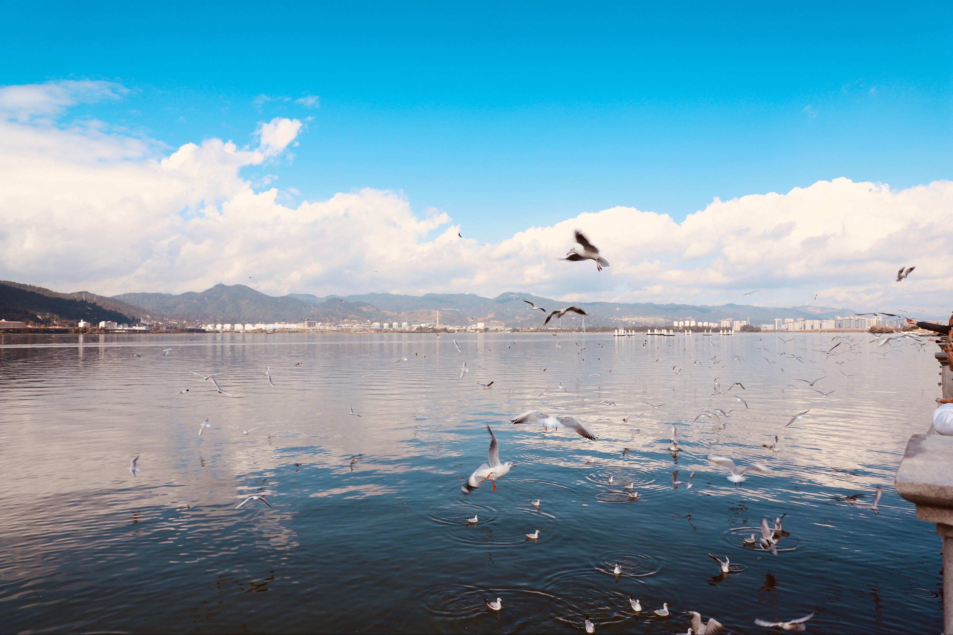 最近能去云南旅游嗎？——探索云南的無限魅力，探索云南，現(xiàn)在能否啟程的無限魅力之旅