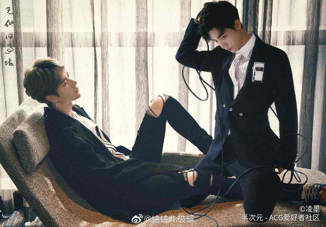 揭秘2019王中王一肖中特背后的秘密，揭秘王中王一肖中特背后的秘密與真相