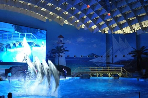 武漢海洋公園門票價(jià)格及購買攻略，武漢海洋公園門票價(jià)格與購買攻略
