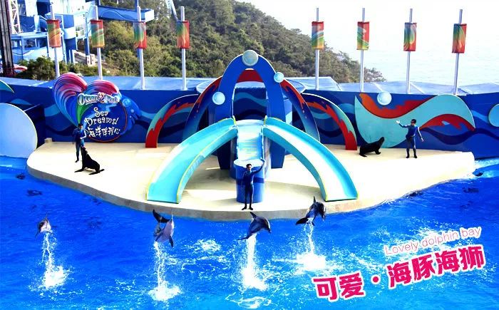 香港海洋公園，探索樂趣無窮的海洋世界，香港海洋公園，樂享海洋世界的探索之旅