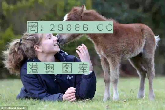 澳門(mén)今晚必開(kāi)一肖一特，探索生肖彩票的魅力與預(yù)測(cè)邏輯，澳門(mén)生肖彩票預(yù)測(cè)，探索彩票魅力與預(yù)測(cè)邏輯揭秘特肖一碼之夜