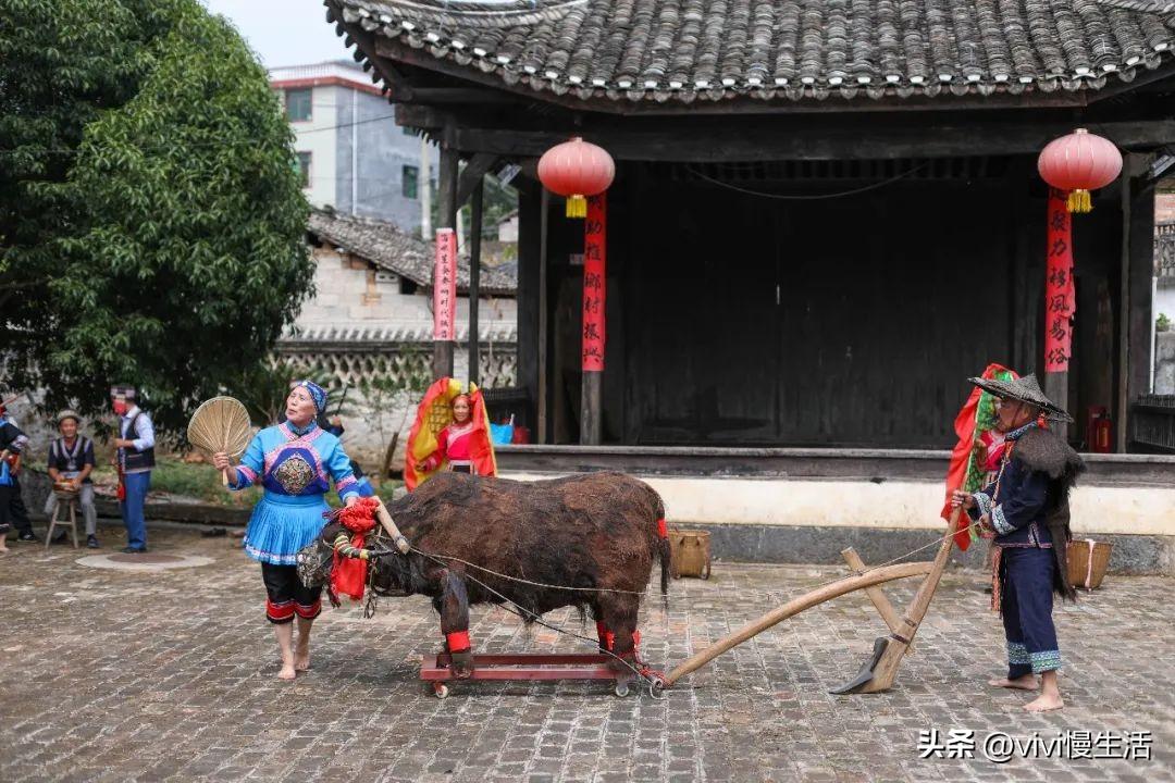 桂林旅游攻略，必去景點圖片詳解，桂林旅游攻略大全，必去景點詳解與圖片欣賞