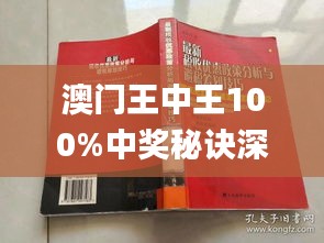 新澳門王中王游戲，揭秘期期中秘密與SEO策略，揭秘新澳門王中王游戲期期中秘密與SEO策略之道
