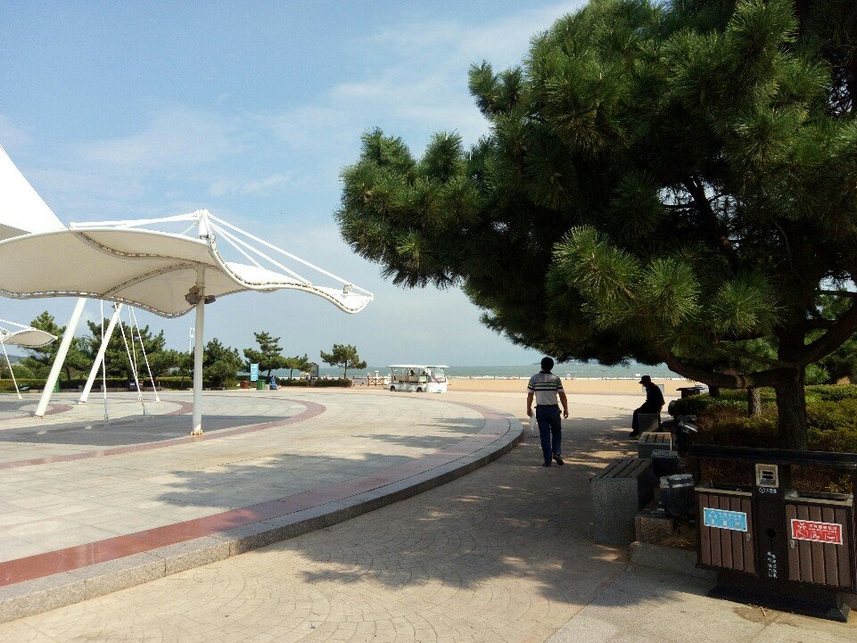山東省青島市黃島區(qū)天氣預報，掌握最新氣象信息，助力生活安排，山東省青島市黃島區(qū)天氣預報，最新氣象信息助你生活安排無憂