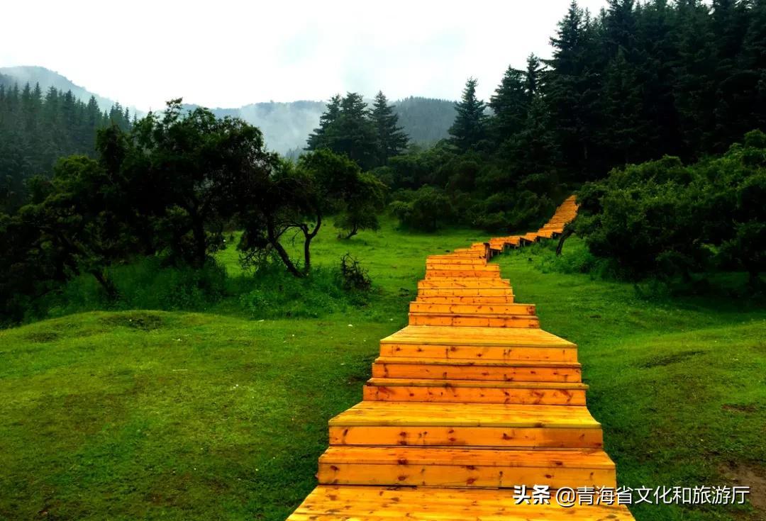 西寧旅游景點(diǎn)大全，探索高原城市的魅力所在，西寧高原魅力之旅，景點(diǎn)大全探索