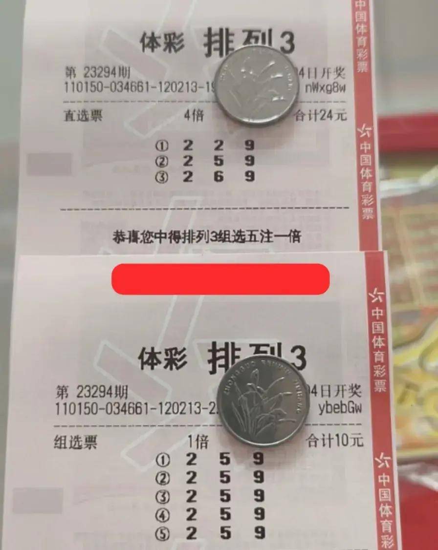 王中王神算子特嗎一肖——揭秘生肖運(yùn)勢(shì)與神秘預(yù)測(cè)，揭秘生肖運(yùn)勢(shì)與神秘預(yù)測(cè)，王中王神算子特選一肖探秘之旅