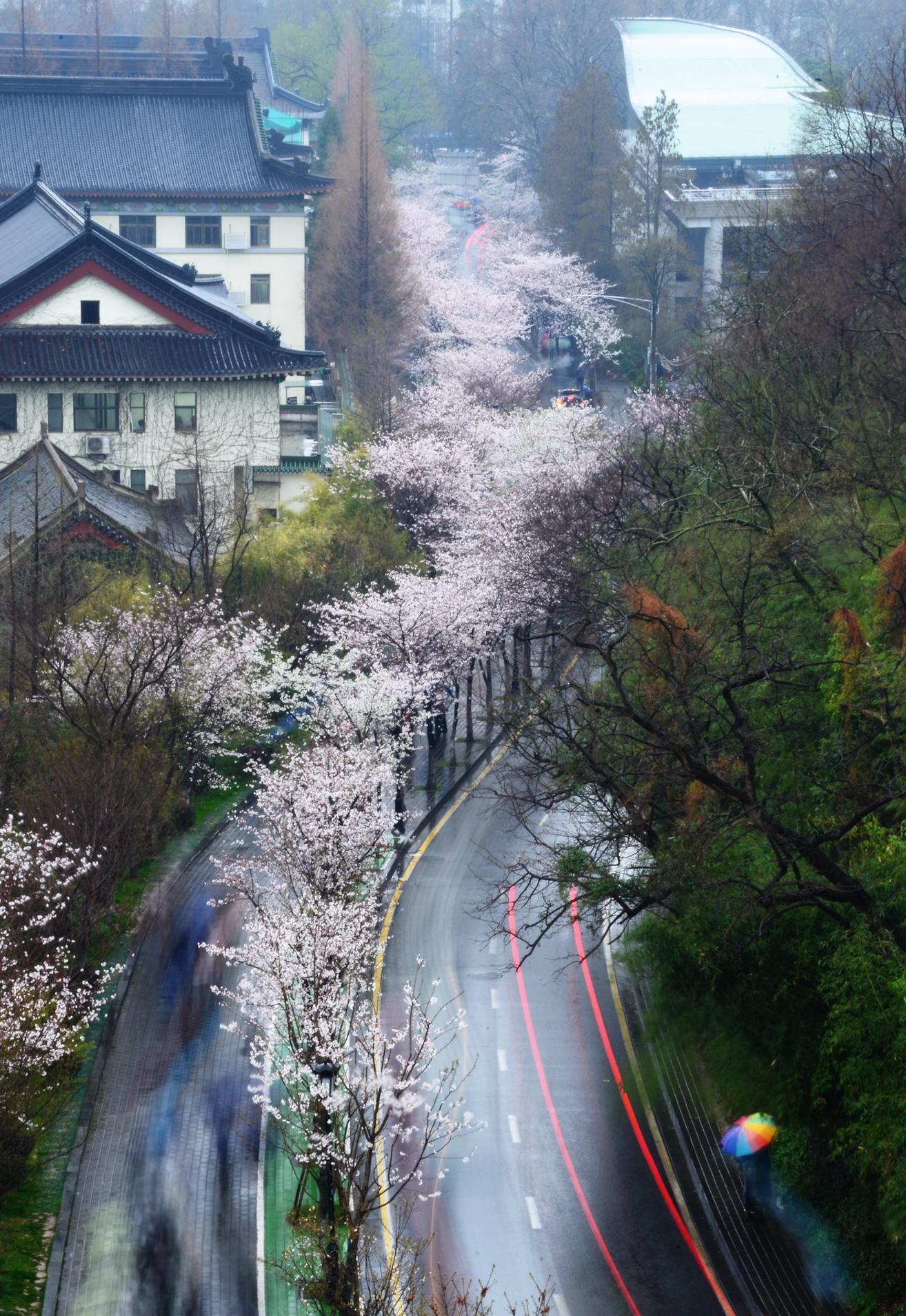 南京雞鳴寺門票價(jià)格詳解，南京雞鳴寺門票價(jià)格全解析