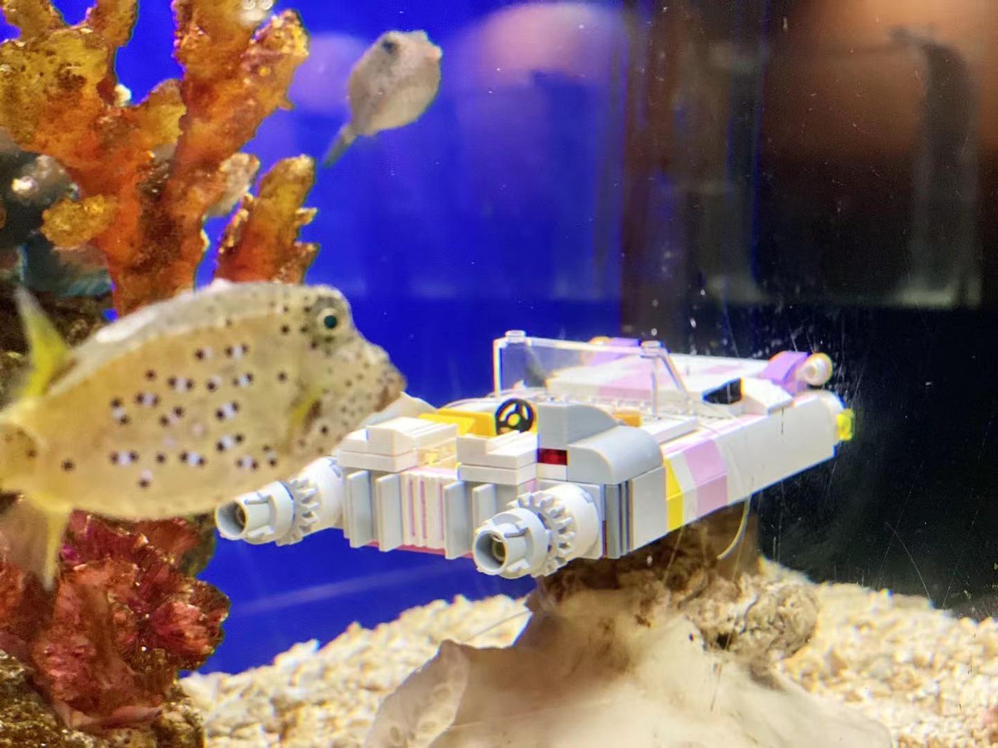 廣州正佳海洋館門票價格表詳解，廣州正佳海洋館門票價格詳解解析