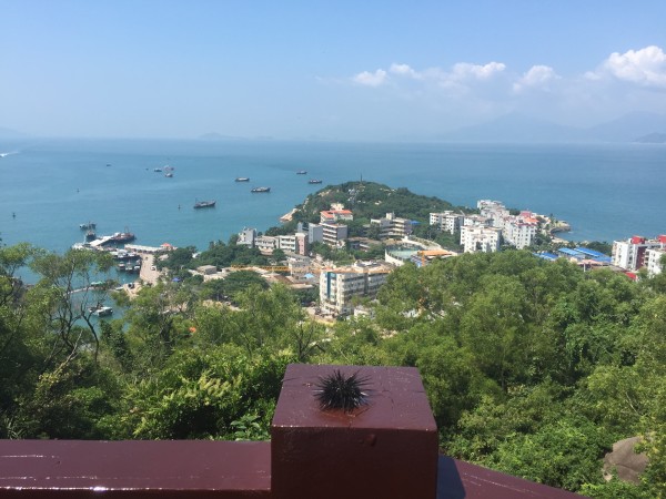 珠海外伶仃島一日游費(fèi)用詳解，珠海外伶仃島一日游費(fèi)用全解析