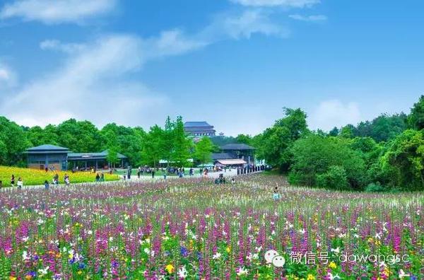 石象湖景區(qū)門票價格詳解，石象湖景區(qū)門票價格全面解析