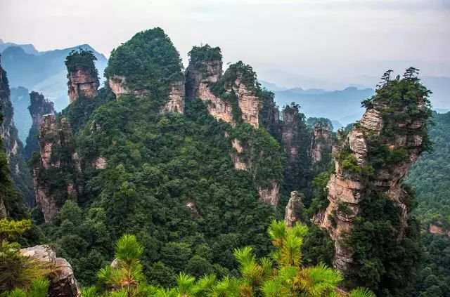張家界真實圖片展示，自然美景盡收眼底，張家界自然美景真實圖片展示，壯麗風(fēng)光盡收眼底