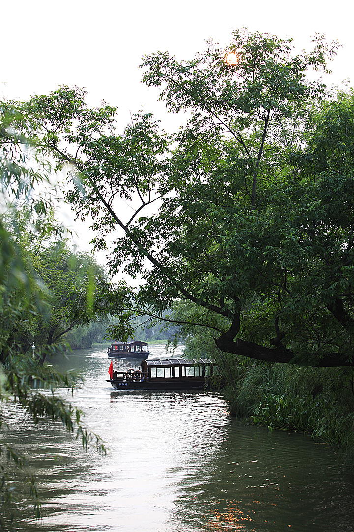 杭州西溪濕地公園，自然美景盡收眼底，杭州西溪濕地公園，自然美景一覽無遺