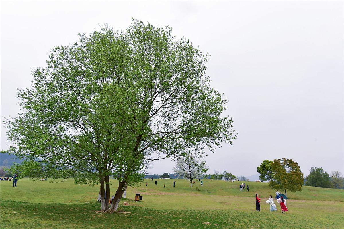 武漢風(fēng)景區(qū)有哪些好玩的地方——深度探索武漢的美麗角落，深度探索武漢風(fēng)景區(qū)，揭秘城市美麗角落的絕佳游玩地