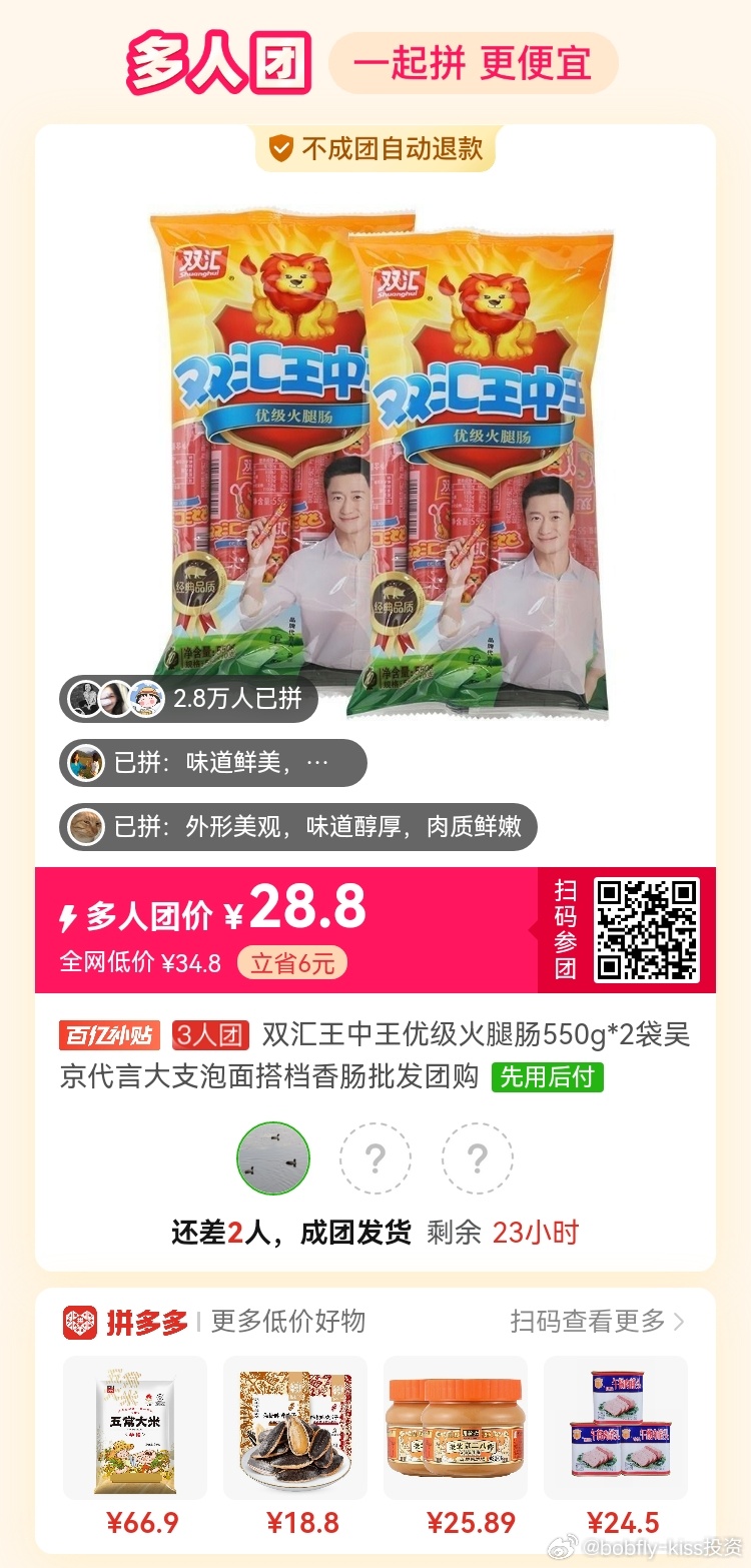 王中王白小姐一肖論壇，探索與解析，王中王白小姐一肖論壇，深度探索與解析