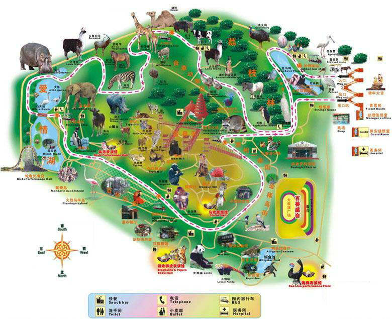 野生動物園在哪里，探索自然奧秘的理想之地，探索自然奧秘的理想之地，野生動物園探秘之旅
