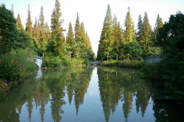 崇明東平國(guó)家森林公園門票攻略，探索自然之美的入場(chǎng)券，崇明東平國(guó)家森林公園門票攻略，探索自然美景的必備入場(chǎng)券