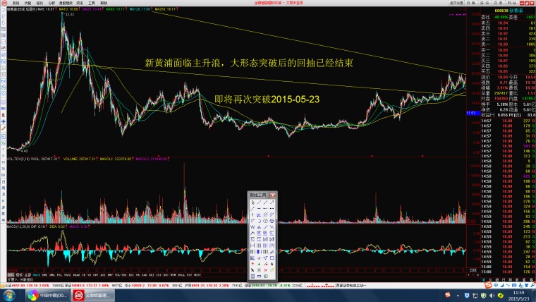 新黃浦股票行情深度解析，新黃浦股票行情全面深度解析