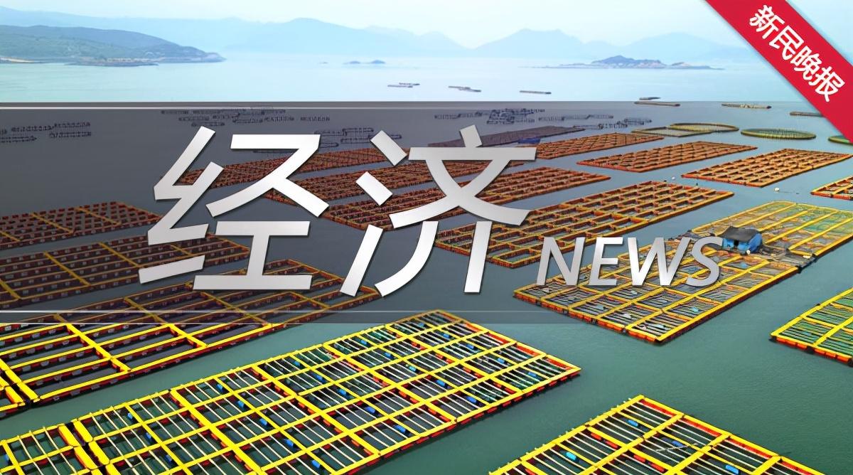 新民片年軍2新，全面解析與SEO優(yōu)化策略，新民片年軍2新全面解析及SEO優(yōu)化策略指南