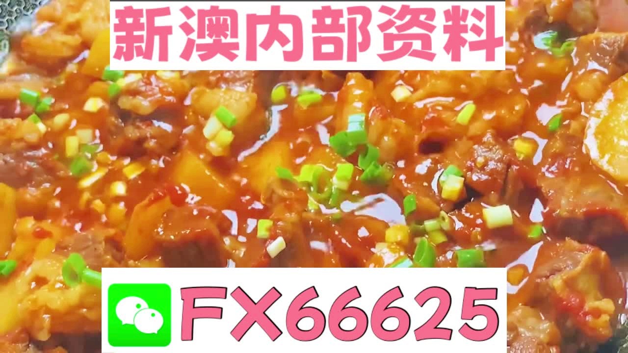新奧天天免費資料大全，探索與優(yōu)化的SEO文章，新奧天天免費資料大全，深度探索與優(yōu)化SEO策略