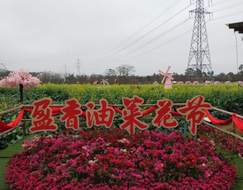 盈香生態(tài)園旅游攻略，探索自然之美的絕佳去處，盈香生態(tài)園，自然之美的探索之旅攻略