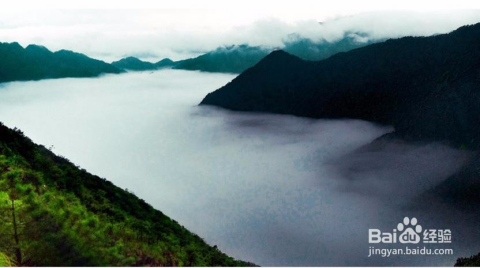 江西武夷山旅游攻略，自助游的絕佳選擇，江西武夷山自助游攻略，絕美旅行目的地，你的絕佳選擇