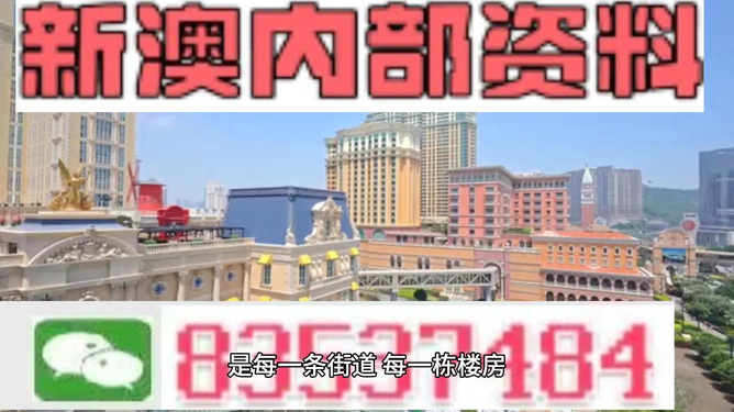 新澳門最精準(zhǔn)正最精準(zhǔn)龍門，探索與揭秘，新澳門最精準(zhǔn)正龍門探索揭秘攻略