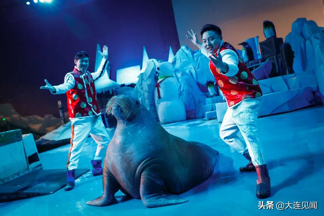 圣亞海洋世界門票價格詳解，圣亞海洋世界門票價格全解析