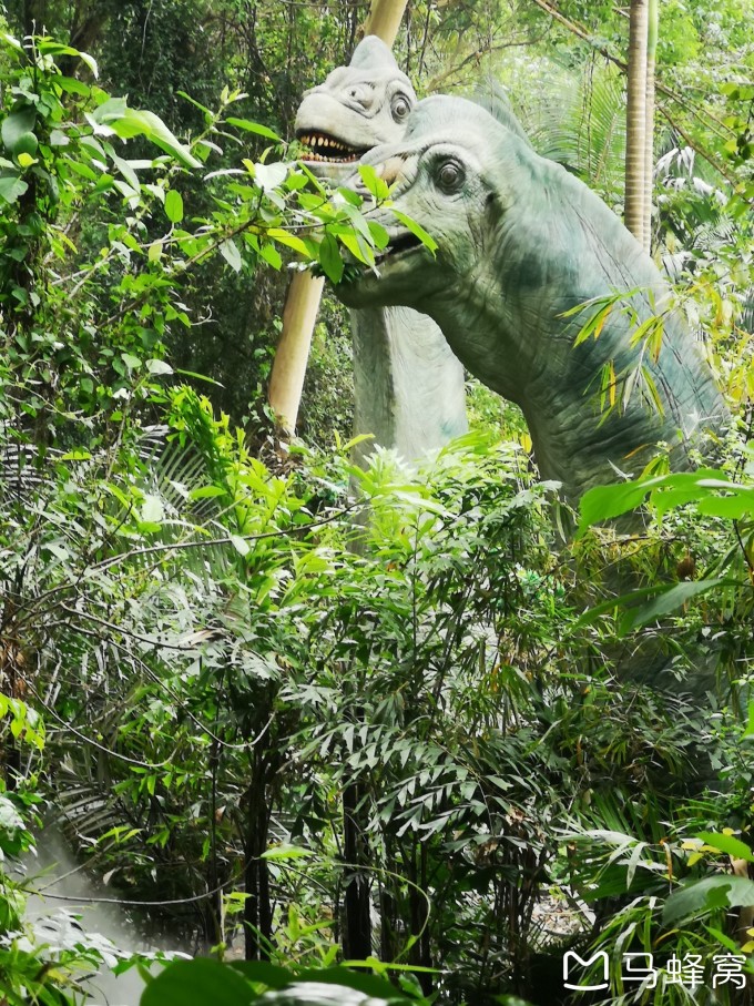 廣州長隆野生動物園門票價格及購買攻略，廣州長隆野生動物園門票價格與購買攻略全解析