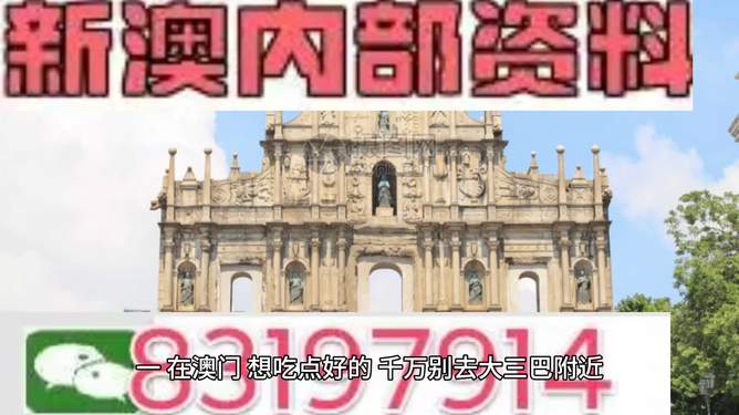 新澳新澳門正版資料，探索與解析，新澳新澳門正版資料深度解析與探索