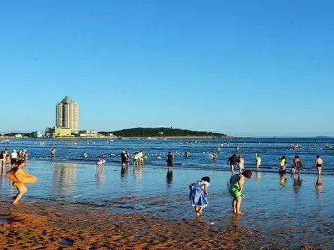青島旅游自由行，探索魅力海濱城市的最佳體驗(yàn)，青島自由行探索，海濱城市的魅力之旅