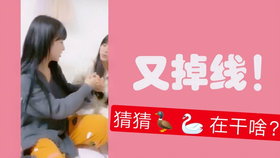 揭秘王中王巜欲錢詩猜一肖的奧秘，揭秘王中王與欲錢詩中的生肖奧秘