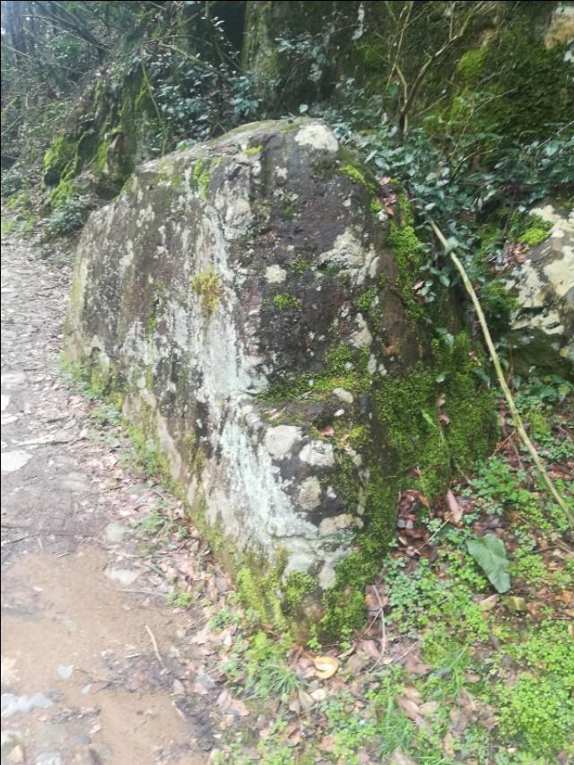 白小姐一肖一碼與劉伯溫四不像，探尋神秘文化符號(hào)背后的故事，探尋白小姐一肖一碼與劉伯溫四不像背后的神秘文化符號(hào)故事