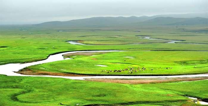 內(nèi)蒙古旅游攻略必玩，探索草原的無限魅力，內(nèi)蒙古草原之旅，深度攻略與必玩景點(diǎn)探索