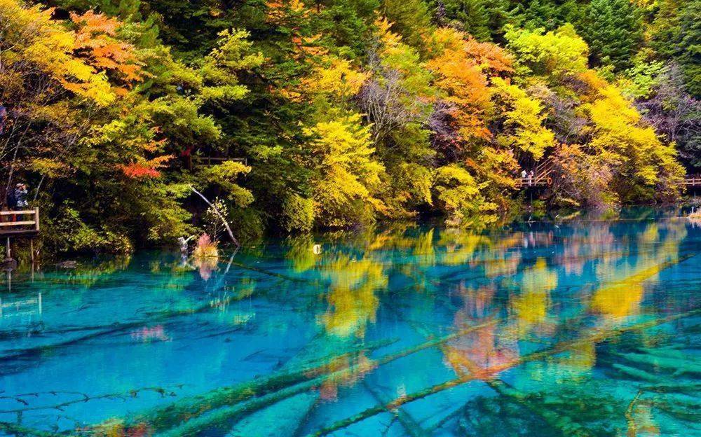 九寨溝純玩旅游團，探索自然之美的絕佳體驗，九寨溝純玩旅游團，自然之美的絕佳探險之旅